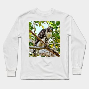 Red Tailed Hawk Long Sleeve T-Shirt